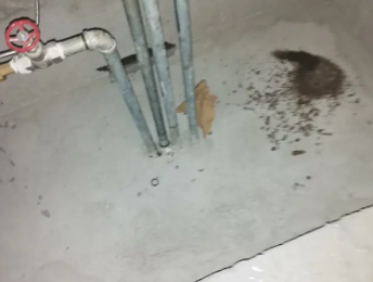 丘北卫生间测漏水价格明细